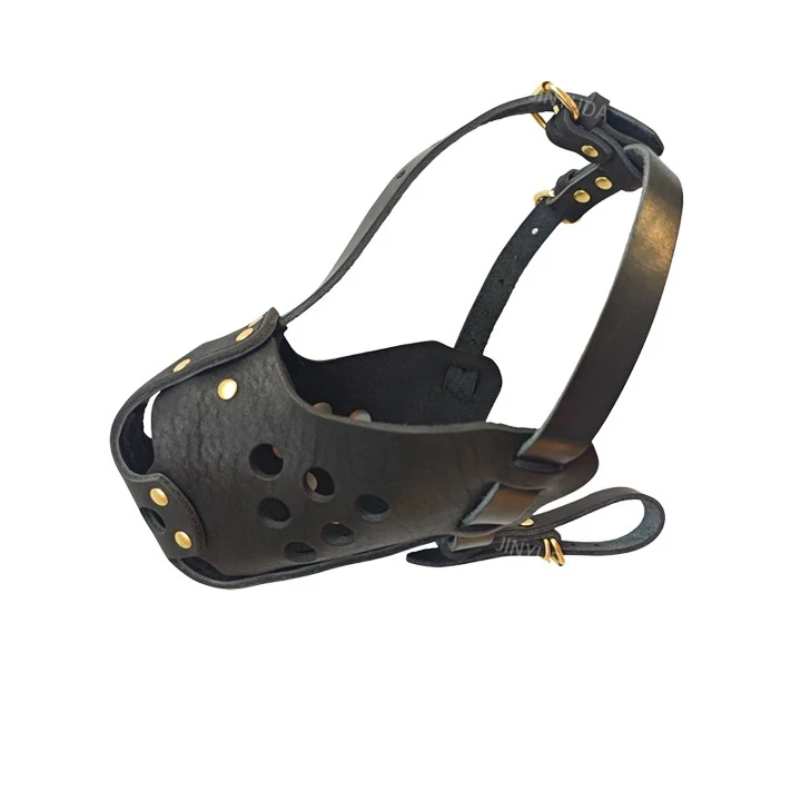 Rottweiler Muzzle