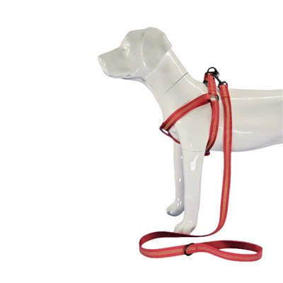 光を反射する赤い犬用ハーネス